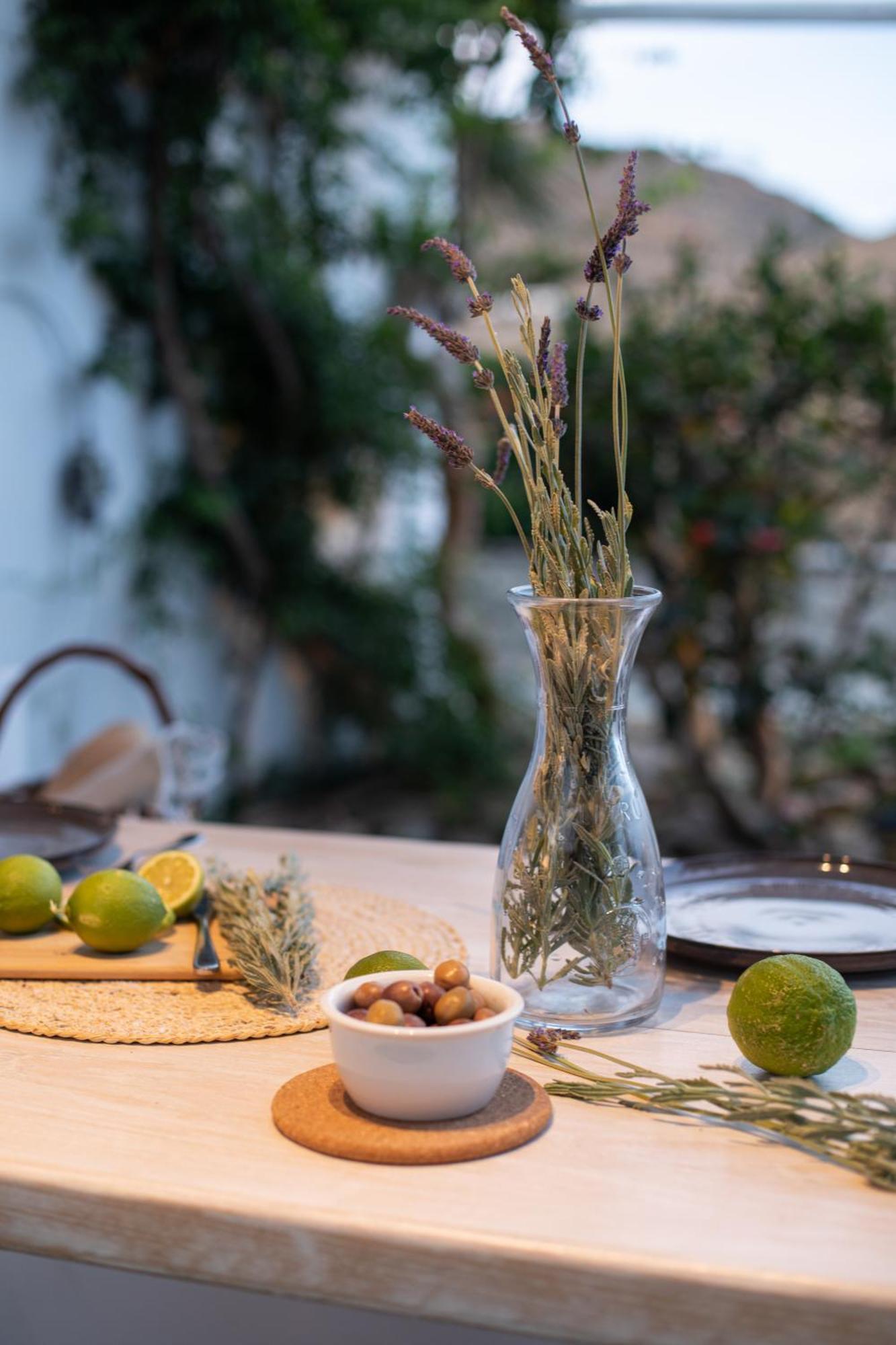 Levantes House Mykonos Ano Mera Buitenkant foto