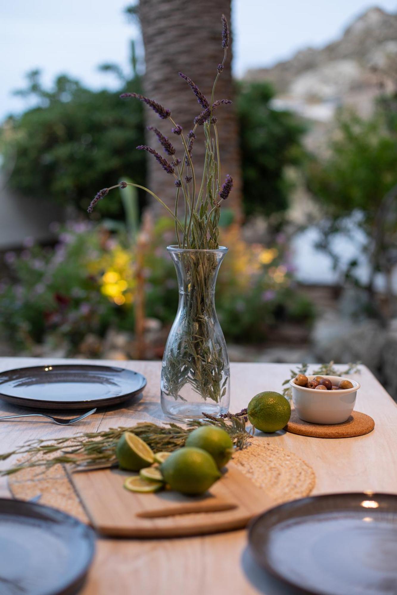 Levantes House Mykonos Ano Mera Buitenkant foto